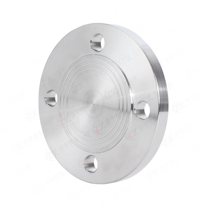 Blind flange